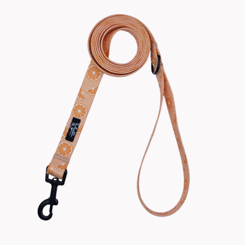 smycz miejska psiomarańcze poondel dog.png