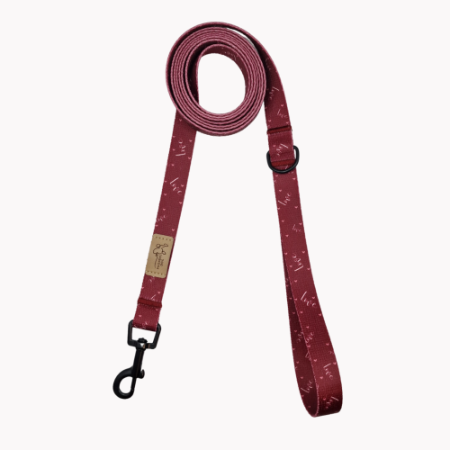 smycz miejska love poondel dog.png