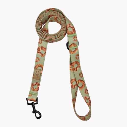 smycz miejska psiowarzanki poondel dog.png