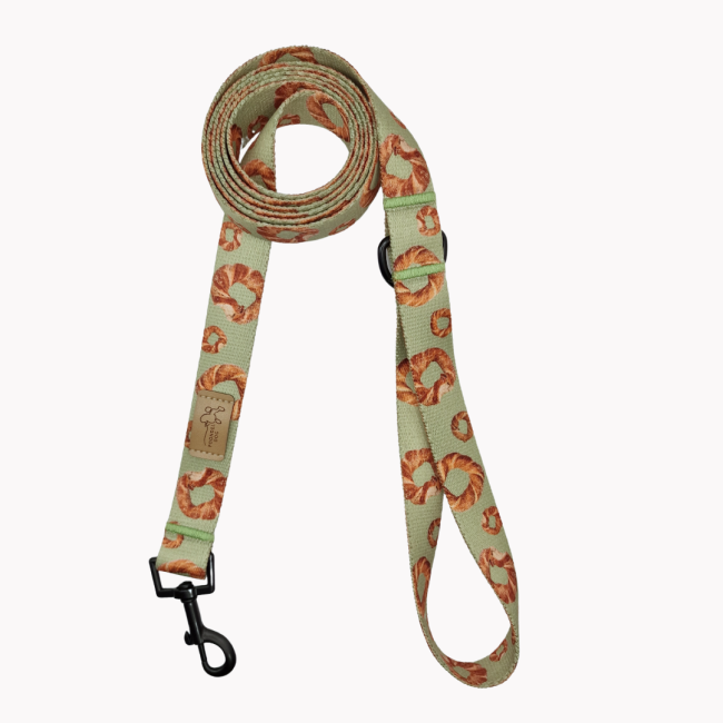 smycz miejska psiowarzanki poondel dog.png