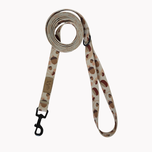 smycz miejska fall vibe poondel dog.png