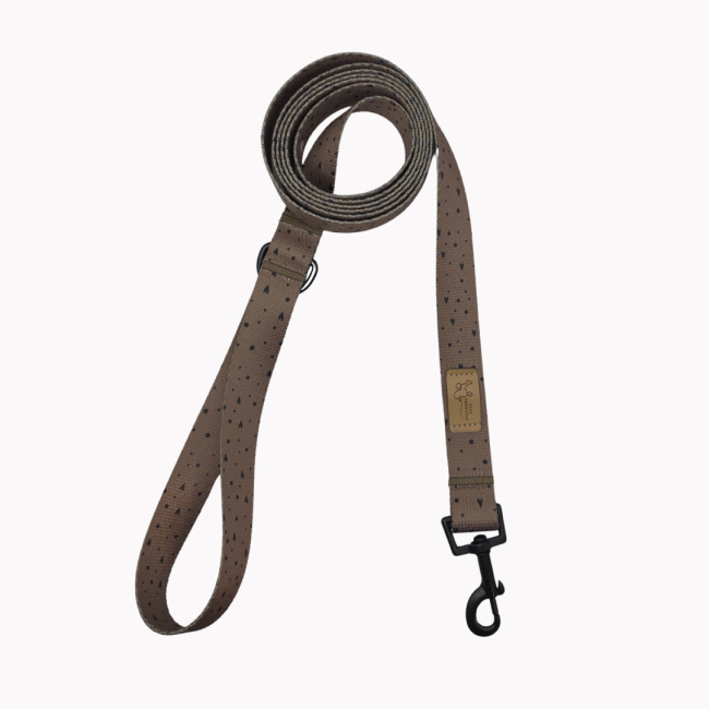 smycz miejska sweetheart brownie poondel dog.png