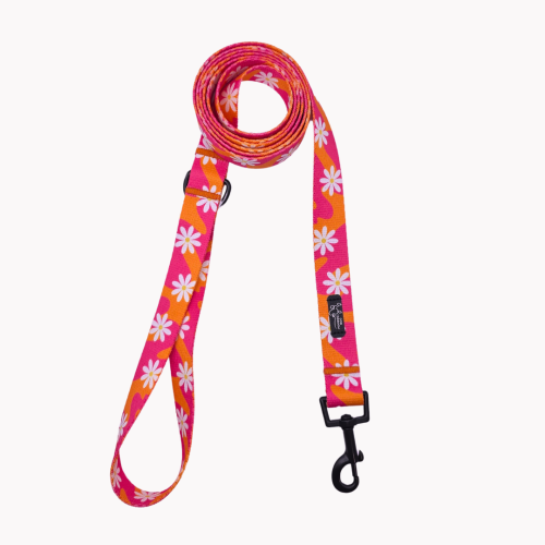 smycz miejska flower pawer poondel dog.png