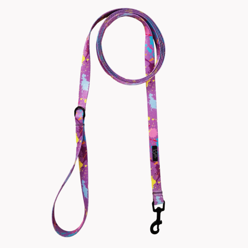 smycz miejska colorful splash  poondel dog.png