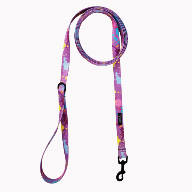 smycz miejska colorful splash  poondel dog.png