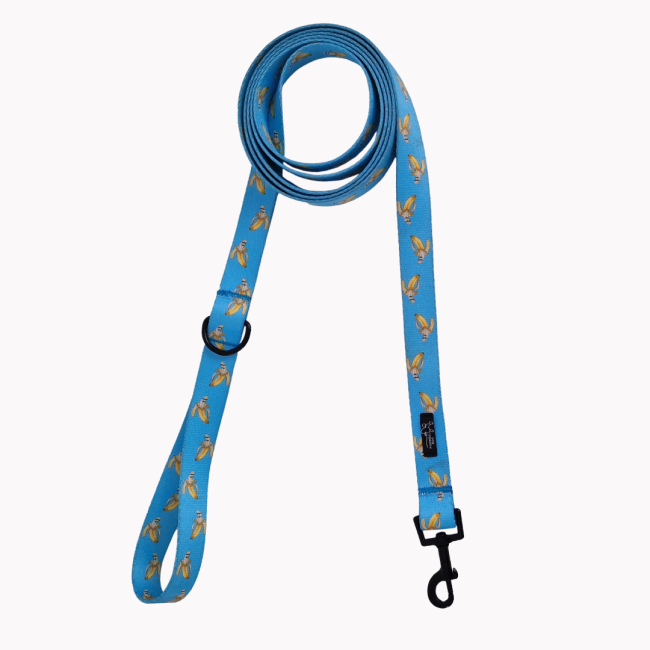 smycz miejska laid back bananas poondel dog.png