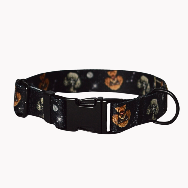 obroża cosmic poodle metalowa klamra poondel dog.png