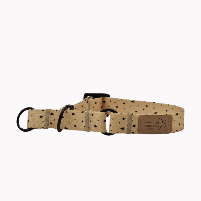 obroża półzaciskowa sweetheart poondel dog.png