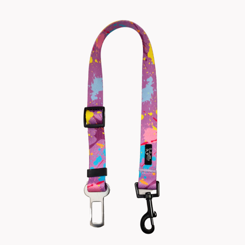 pas samochodowy colorful splash  poondel dog.png