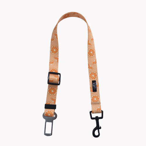 pas samochodowy psiomarancze poondel dog.png