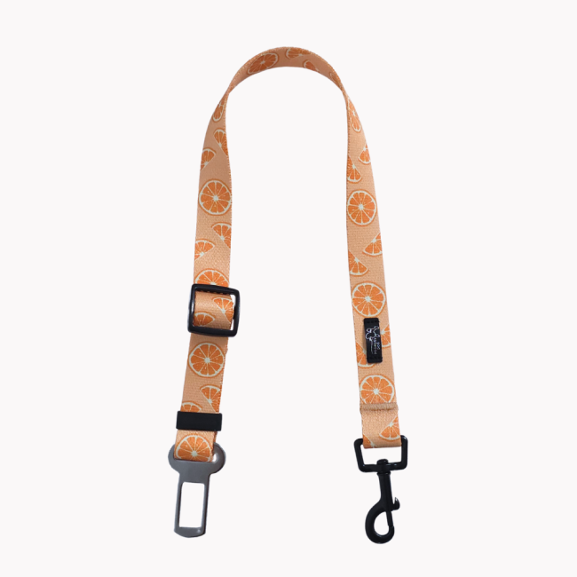 pas samochodowy psiomarancze poondel dog.png