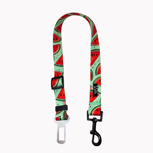 pas samochodowy watermelove poondel dog.png