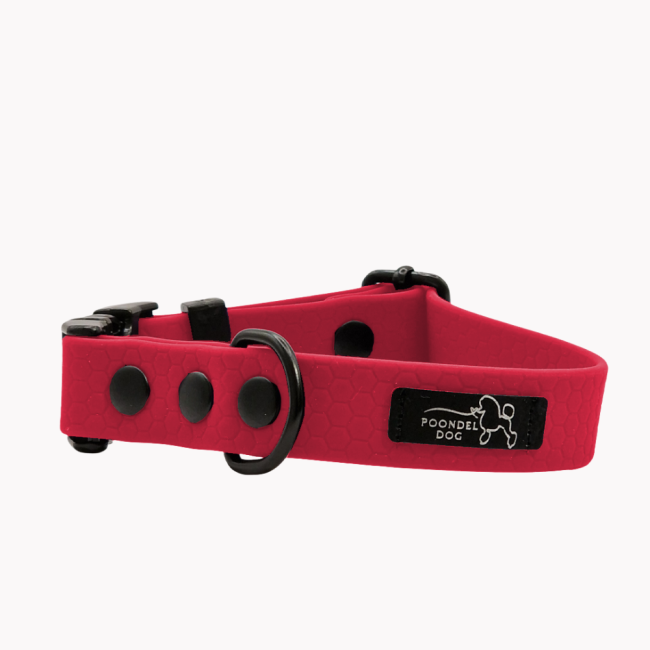 obroża wodoodporna hexa czerwone wino poondel dog metalowa klamra.png