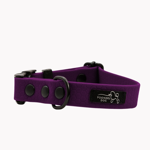 obroża wodoodporna hexa fioletowa poondel dog metalowa klamra.png