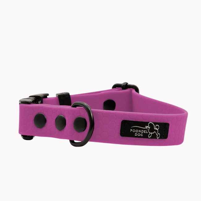 obroża wodoodporna hexa lawenda poondel dog metalowa klamra.png
