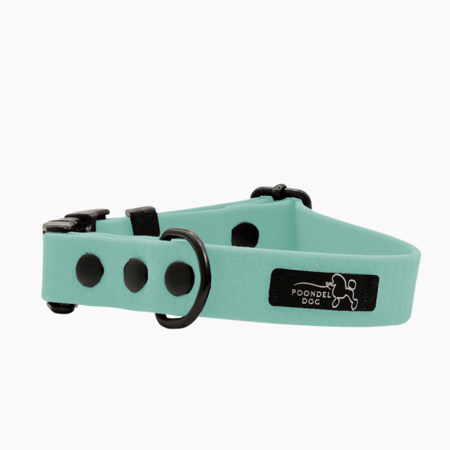 obroża wodoodporna hexa pastelowy niebieski poondel dog metalowa klamra.png