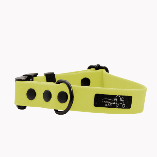 obroża wodoodporna hexa pastelowy żółty poondel dog metalowa klamra.png