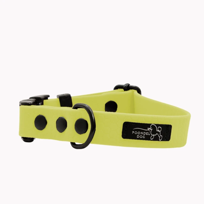 obroża wodoodporna hexa pastelowy żółty poondel dog metalowa klamra.png