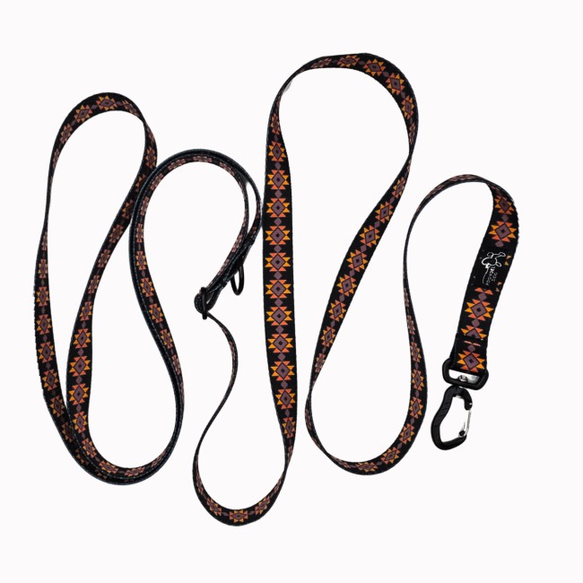 smycz przepinana poondel dog_20260308_041930_0006.jpg