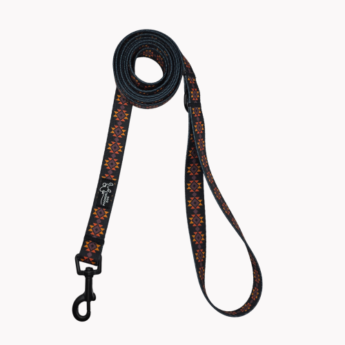 smycz miejska poondel dog_20260308_041930_0007.png