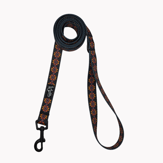 smycz miejska poondel dog_20260308_041930_0007.png