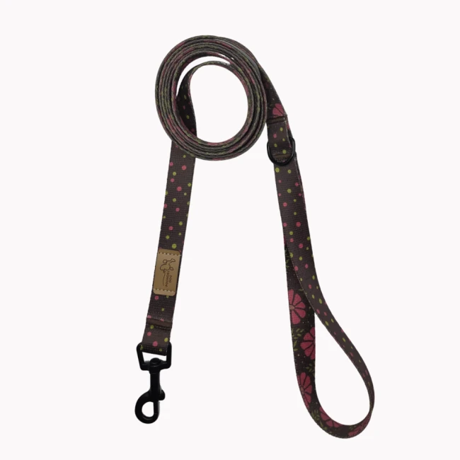 smycz miejska poondel dog.png