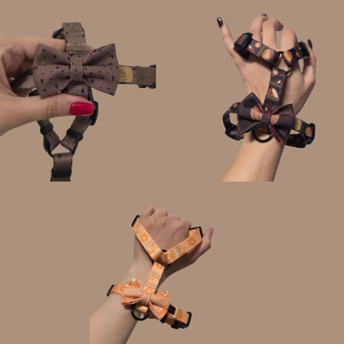 poondel dog kokardka muszka.png