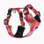 szelki bezuciskowe flower pawer poondel dog (1).png