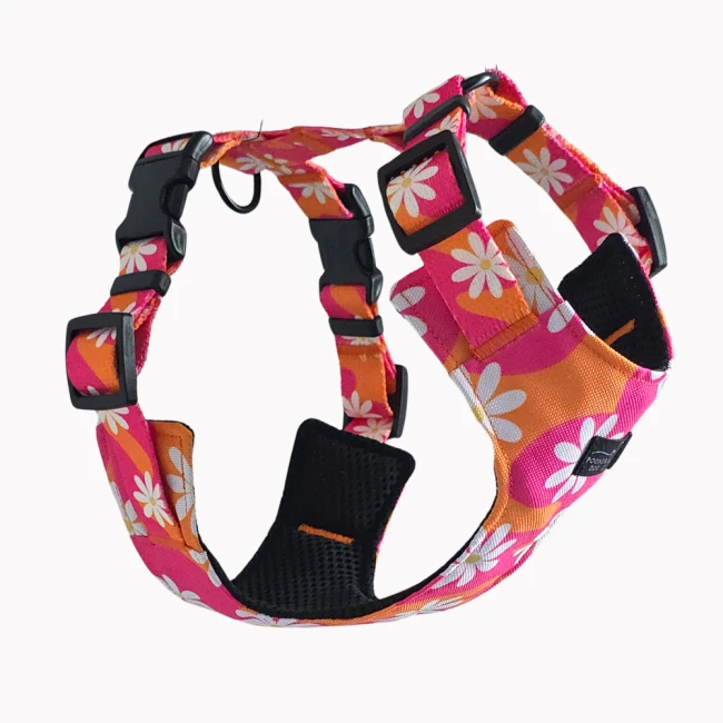 szelki bezuciskowe flower pawer poondel dog (1).png