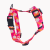 szelki guard flower pawer poondel dog (2).png