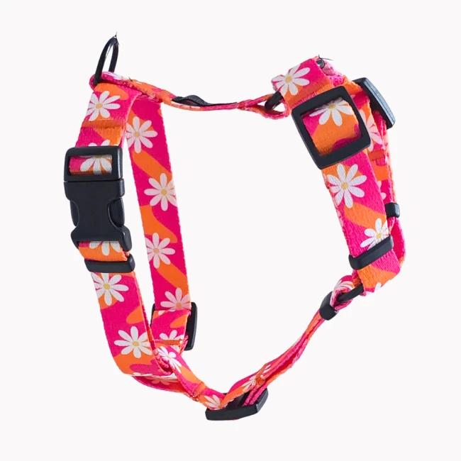 szelki guard flower pawer poondel dog (2).png