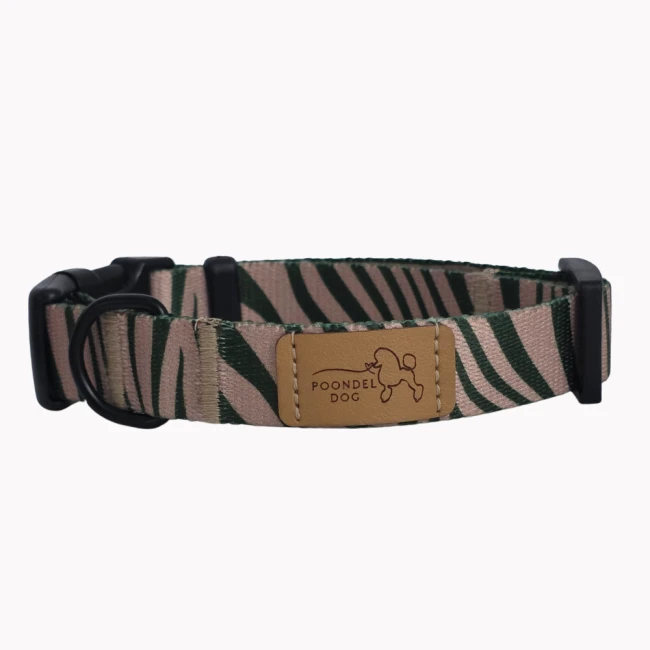 obroża wild strips poondel dog