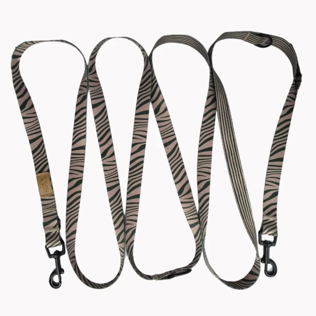 smycz przepinana poondel dog wild strips