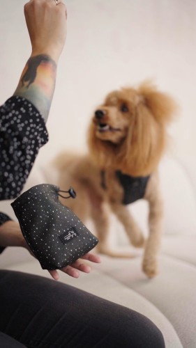 Saszetka na smaczki Sweetheart Blacky czarna w serduszka Poondel Dog