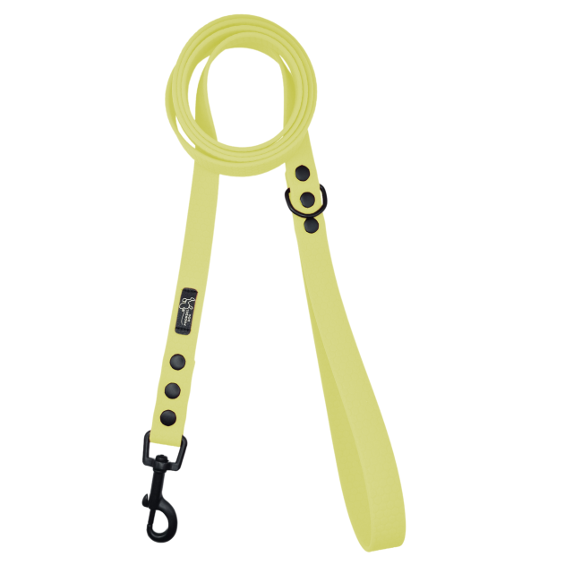 miejska smycz hexa pastelowy żółty czarne okucia Poondel Dog