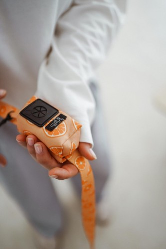 etui na kupoworki Psiomarańcze Poondel Dog 2