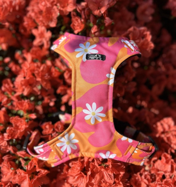 szelki bezuciskowe flower pawer poondel dog 11