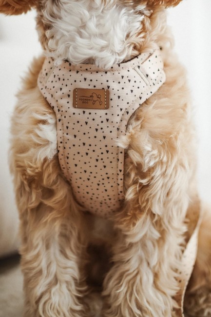 szelki bezuciskowe sweetheart Poondel Dog 3