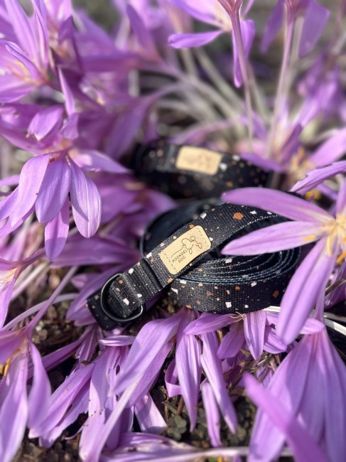 Dogstriko Black komplet