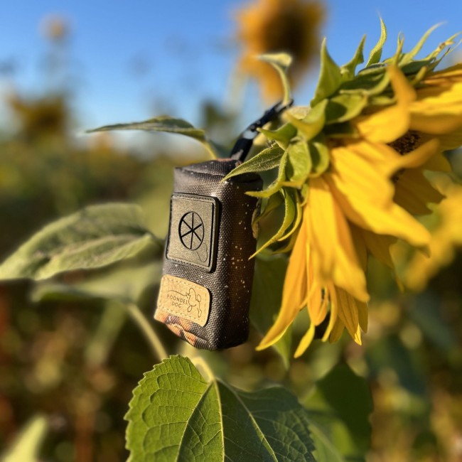 etui na kupoworki Cosmic Poodle