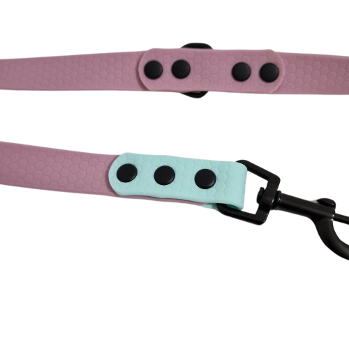 Projekt bez nazwy (6)