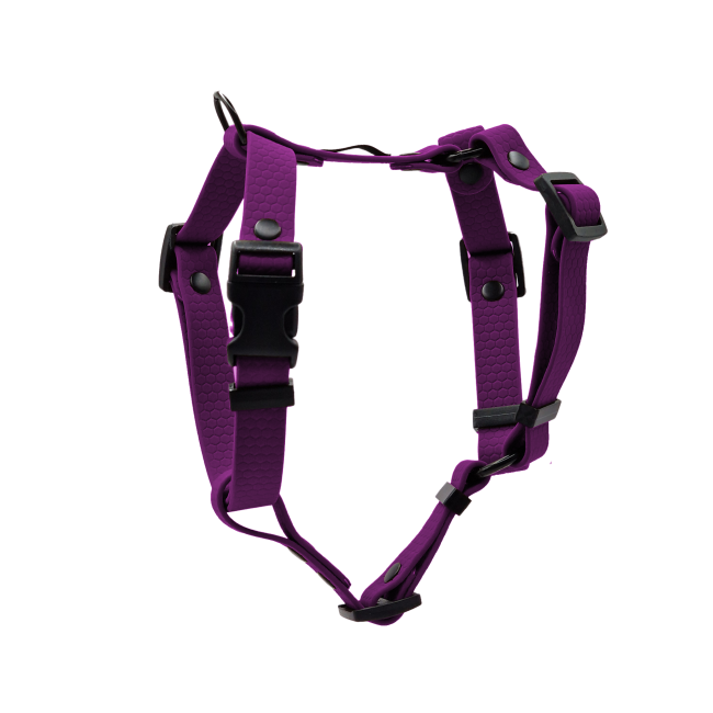 szelki hexa fioletowe czarne