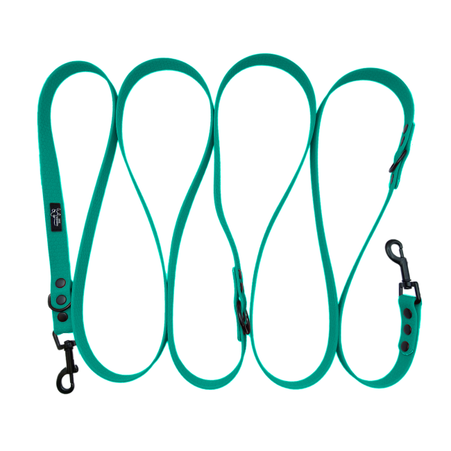 przepinana smycz hexa morska zielen czarne