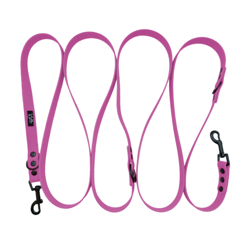 przepinana smycz hexa lawenda czarne