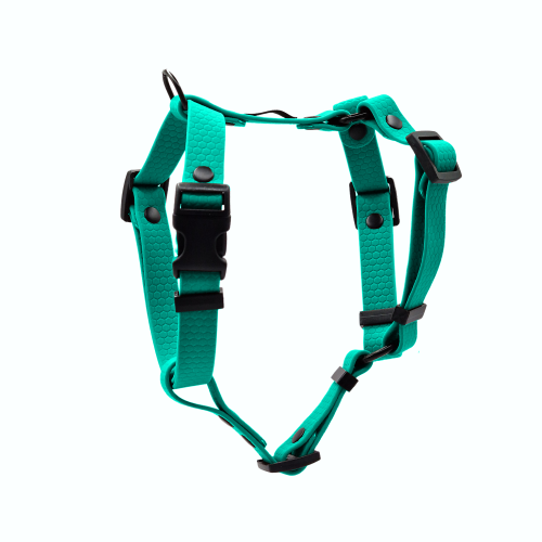 szelki hexa morska zieleń czarne