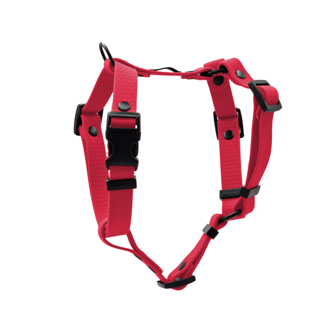 szelki hexa czerwone wino czarne