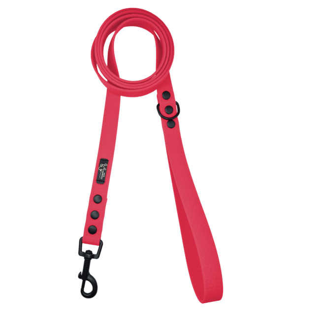 miejska smycz hexa czerwone wino czarne