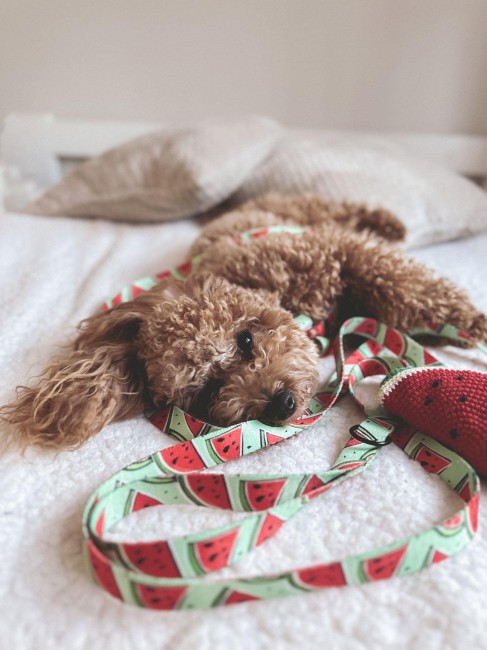 IMG_20240510_204659_762