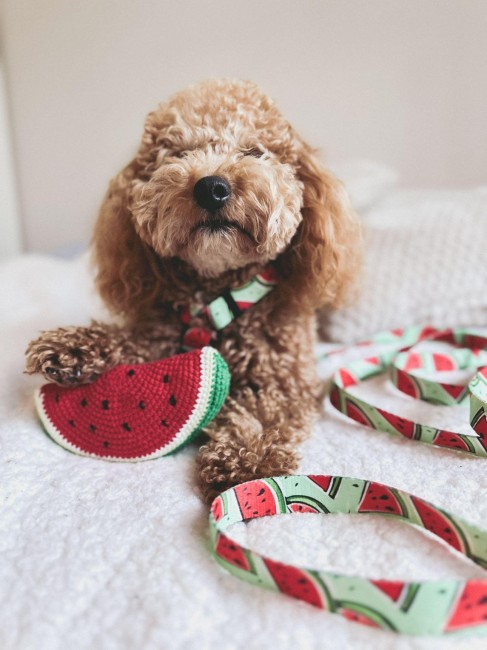 IMG_20240510_204657_174