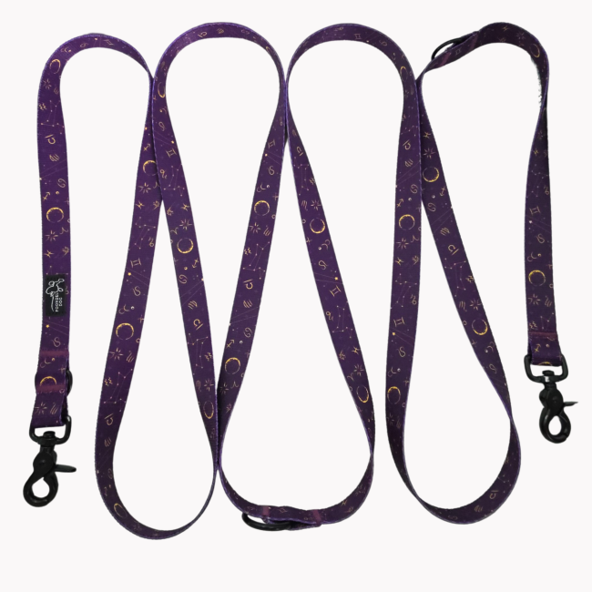 smycz przepinana Astral Poondel Dog.png